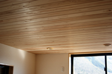 �Q���ɂ͂ʂ����肠��V��