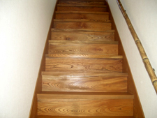 �P���L�̖��C